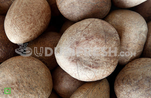 Dry Copra/Coconut, 1 pc Approx. 100-125 gm (5556034797732)