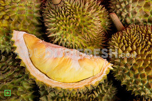 Malaysia Durian Fruit, 1 PC