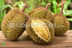 Malaysia Durian Fruit, 1 PC
