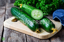 Load image into Gallery viewer, English Cucumber, 1Kg
