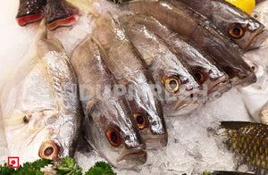 False Trevally / Ademeenu, 1 Kg