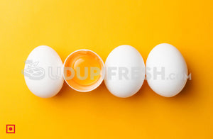 Farm White Eggs (5563048198308)