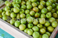 Load image into Gallery viewer, Fresh Green Jujube, 500 g
