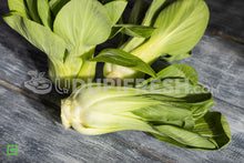 Load image into Gallery viewer, Bok Choy, 500 to 600 g
