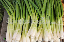 Load image into Gallery viewer, Spring onions, 200 g
