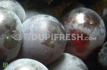 Load image into Gallery viewer, Grapes - Bangalore Blue with Seed, 500 g (5556002390180)
