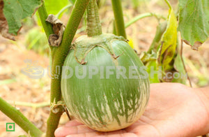 Green Brinjal ( Barkur ) , 1Kg