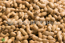 Load image into Gallery viewer, Raw groundnut with shell, 1 Kg
