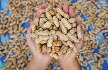 Load image into Gallery viewer, Raw groundnut with shell, 1 Kg
