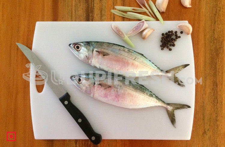 Indian Mackerel Bangda Fish/Medium ( 4 count ) – udupifresh.com