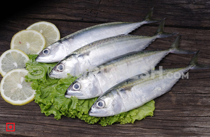 Indian Mackerel/Bangda, Big Size - 1 kg – UDUPI FRESH