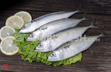 Load image into Gallery viewer, Indian Mackerel/ Bangda Fish, Small (10 count)
