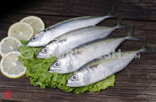 Load image into Gallery viewer, Indian Mackerel Bangda Fish Small (6 Count) (5551689007268)
