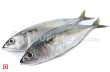 Load image into Gallery viewer, Indian Mackerel Bangda Fish Medium (5 Count) (5551687401636)
