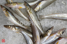 Load image into Gallery viewer, Fresh Kane – Lady Fish, (Medium), 1 Kg
