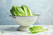 Load image into Gallery viewer, Lettuce, 450 g - 550 g
