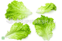 Load image into Gallery viewer, Lettuce, 450 g - 550 g
