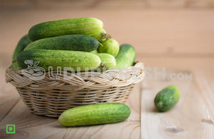 Local Small Cucumber, 1 Kg
