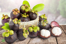 Load image into Gallery viewer, Mangosteen , 500 g
