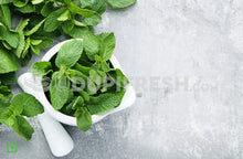 Load image into Gallery viewer, Mint Leaves/ಪುದೀನ ಎಲೆಗಳು, 100 g (5560146165924)
