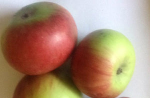 Apple Kashmir Mishri, 1 Kg