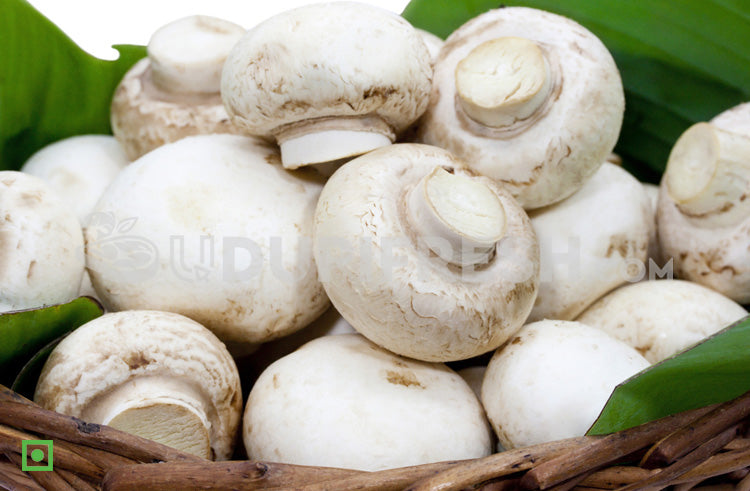 Mushrooms - Button, Grade 