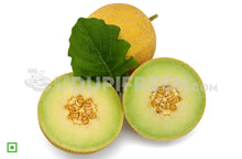 Load image into Gallery viewer, Muskmelon - Organically Grown, 1 pc (5555956809892)
