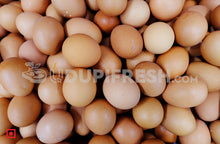 Load image into Gallery viewer, Organic Eggs, 6 Pcs (5563030503588)
