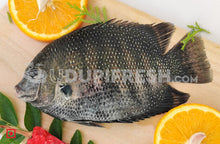 Load image into Gallery viewer, Freshwater Fresh Pearl Spot Fish, Karimeen, 1 Kg
