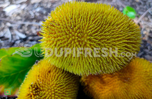 Pejakay - Wild Jackfruit , 2 pc