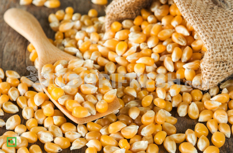 Popcorn - Seeds, 500 g