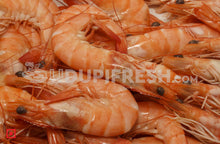 Load image into Gallery viewer, Red Prawns - Small, 1Kg (5551728230564)
