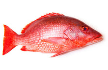 Load image into Gallery viewer, Freshwater Fresh Red Snapper / Kemberi Fish, 1 Kg
