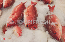 Load image into Gallery viewer, Freshwater Fresh Red Snapper / Kemberi Fish, 1 Kg
