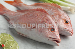 Freshwater Fresh Red Snapper / Kemberi Fish, 1 Kg
