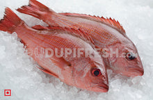Load image into Gallery viewer, Freshwater Fresh Red Snapper / Kemberi Fish, 1 Kg
