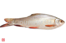 Load image into Gallery viewer, Freshwater Fresh Rohu / Rui, 1 Kg
