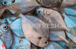 Silver Belly Dry Fish, 200 g