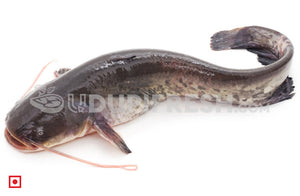 Singhara / Seenghala Fish , 1Kg