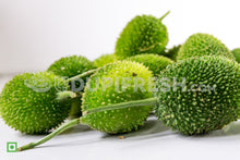 Load image into Gallery viewer, Spine Gourd (Momordica dioica)
