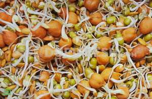 Sprouts - Mixed Gram, 200 g (5561197494436)