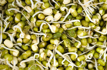 Load image into Gallery viewer, Sprouts-Moong Green, 200 g (5561204539556)
