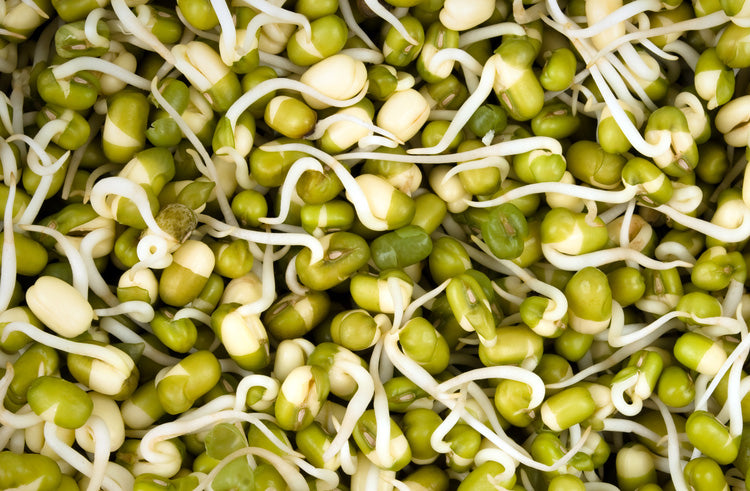 Sprouts-Moong Green, 200 g (5561204539556)