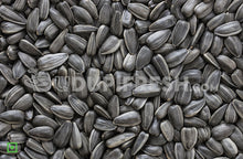 Load image into Gallery viewer, Sunflower Seeds, 200 g
