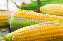 Load image into Gallery viewer, Sweet Corn, 2 pcs (5555836092580)
