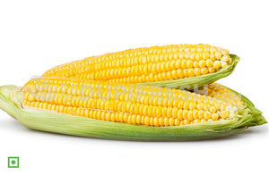 Sweet Corn, 2 pcs (5555836092580)