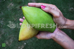 Raw Totapuri Mango, 1 Kg