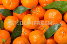 Load image into Gallery viewer, Mini Tangerines Fruit,  500 g
