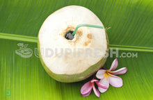 Load image into Gallery viewer, Tender Coconut - Medium, 1 pc (5555820134564)
