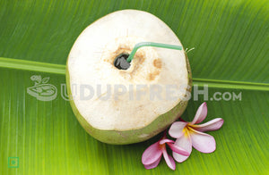 Tender Coconut - Medium, 1 pc (5555820134564)